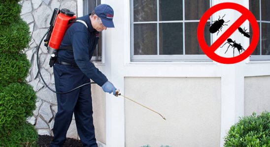 Batman Kene İlaçlama böcek ilaçlama ve haşere kontrolü — ilaclama-tr.com